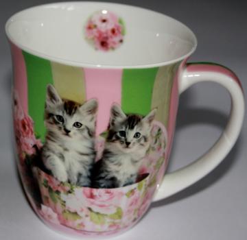 Kaffeetasse Cats in Box